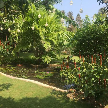 Le Jardin D'Alice Hotel Phan Thiet Bagian luar foto