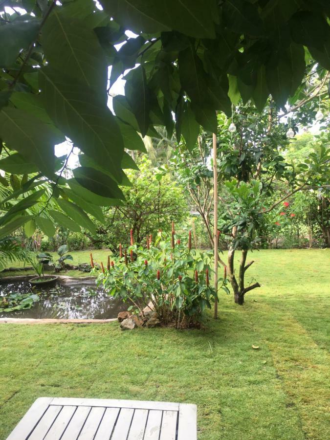 Le Jardin D'Alice Hotel Phan Thiet Bagian luar foto
